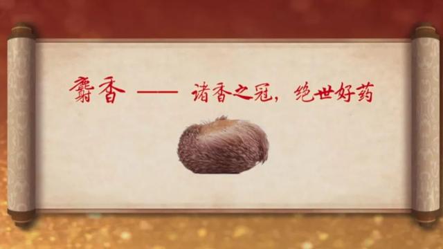 ----^ˎFS𣬱˅a(b)